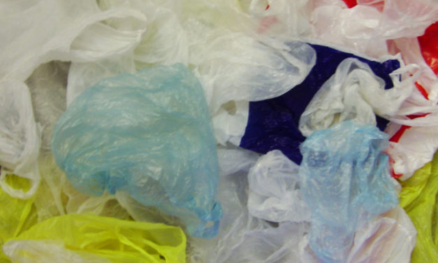 Does Banning Plastic Bags Help the Environment?