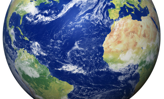Verbatim: How Businesses View Sustainability & CSR Reporting