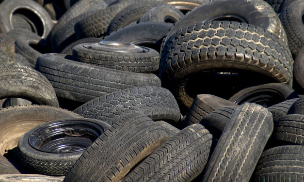 Exploring “Green” Alternatives for Tires