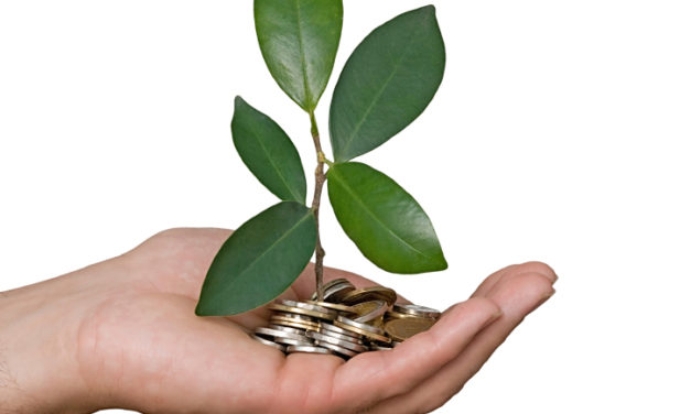 Sustainability: Business Strategy Trumps Reputation