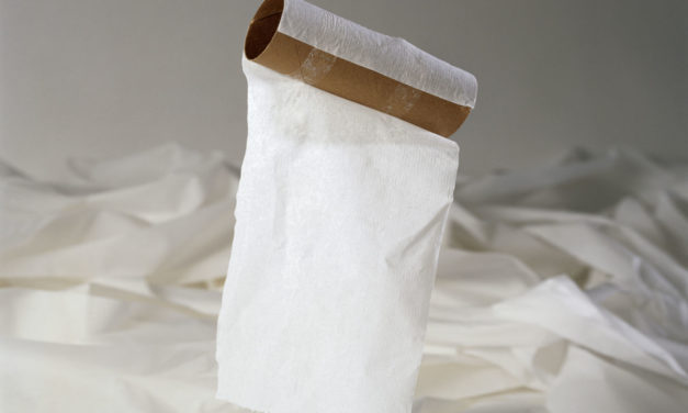 Following Kimberly-Clark’s Agreements on Wood Sourcing and Recycling