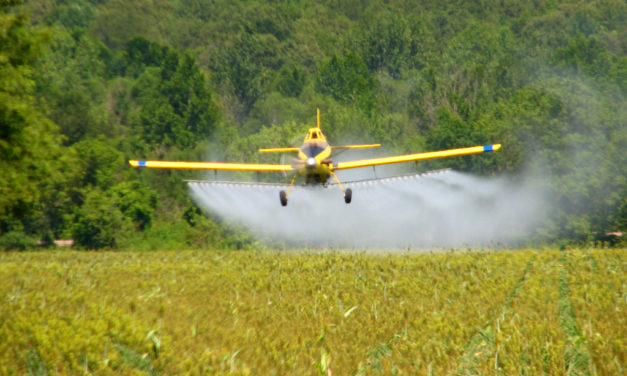 Agriculture’s Impact on the Environment