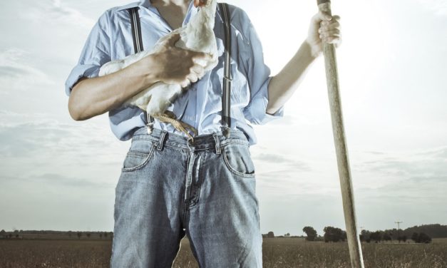 Wanted: Young Farmers