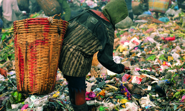 The Impact of Human Population Growth