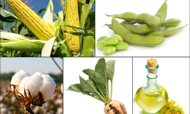 Why Are Environmentalists Upset Over the ‘Monsanto Protection Act’?