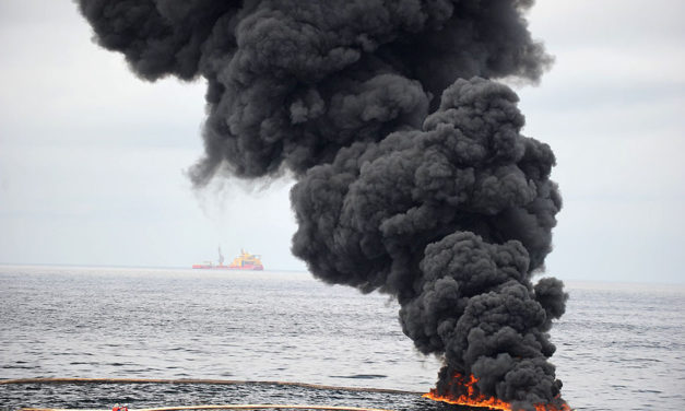 The Gulf of Mexico Three Years After BP Oil Spill