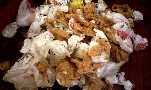 Banning Plastic Bags: What Next?
