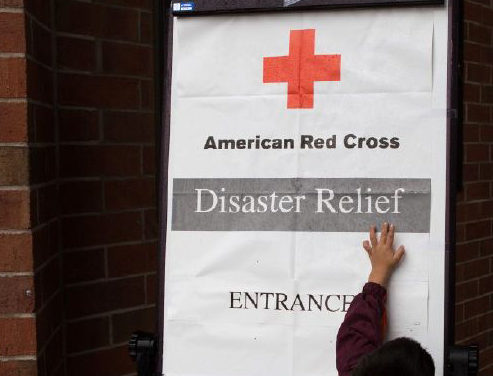 Internal Survey Shows the Red Cross’ Own Employees Doubt the Charity’s Ethics