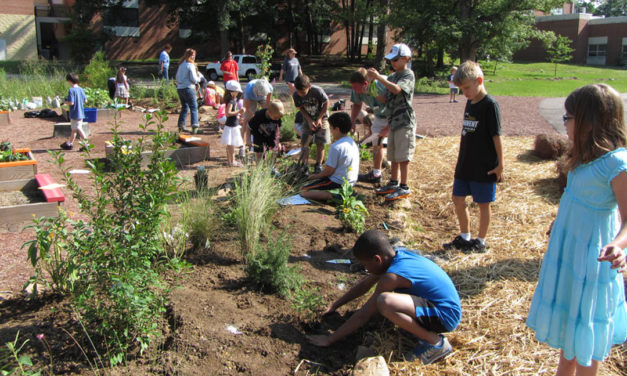 How Can Teachers Integrate Sustainabiity Topics Into Their Curricula?